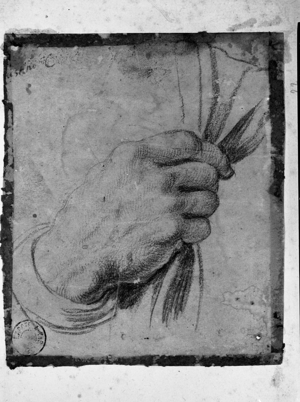 studio di mano che stringe un drappo (disegno, elemento d'insieme) di Carracci Agostino (attribuito) (sec. XVI)