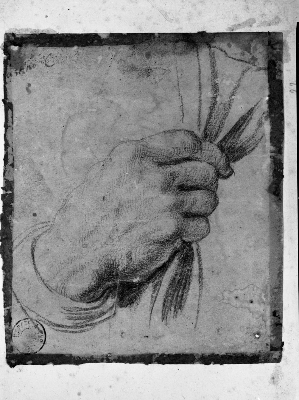 studio di mano che stringe un drappo (disegno, elemento d'insieme) di Carracci Agostino (attribuito) (sec. XVI)