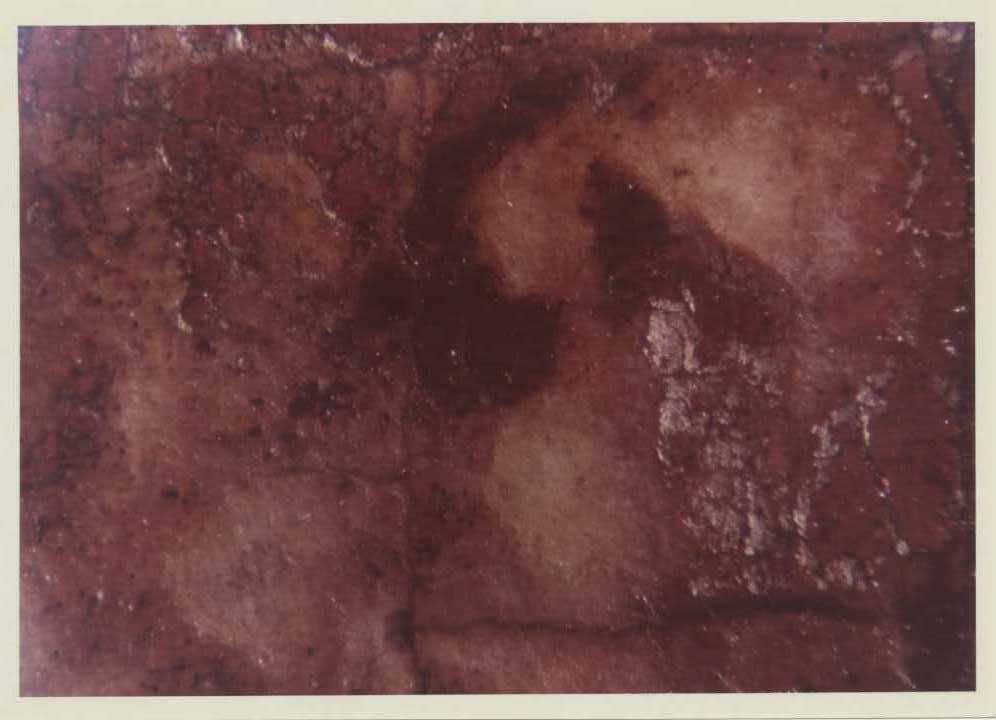 Dipinti - Crocifisso (positivo) di Giovanni da Rimini, Studio Fotofast (ditta) (XX)