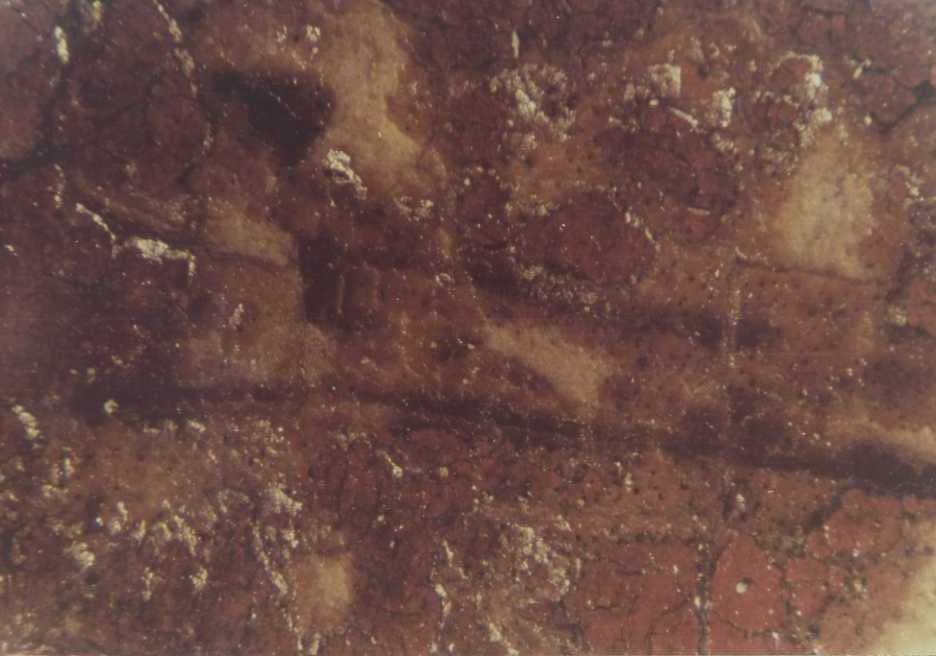 Dipinti - Crocifisso (positivo) di Giovanni da Rimini, Studio Fotofast (ditta) (XX)