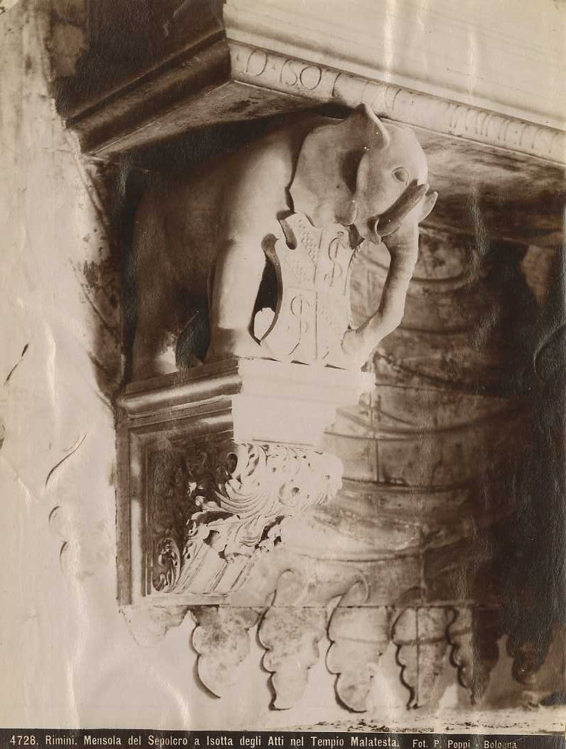 Agostino di Duccio/ Mensola del sepolcro di Isotta degli Atti/ Rimini/ Tempio Malatestiano (positivo) di Agostino di Duccio, Poppi, Pietro (XIX/ XX)