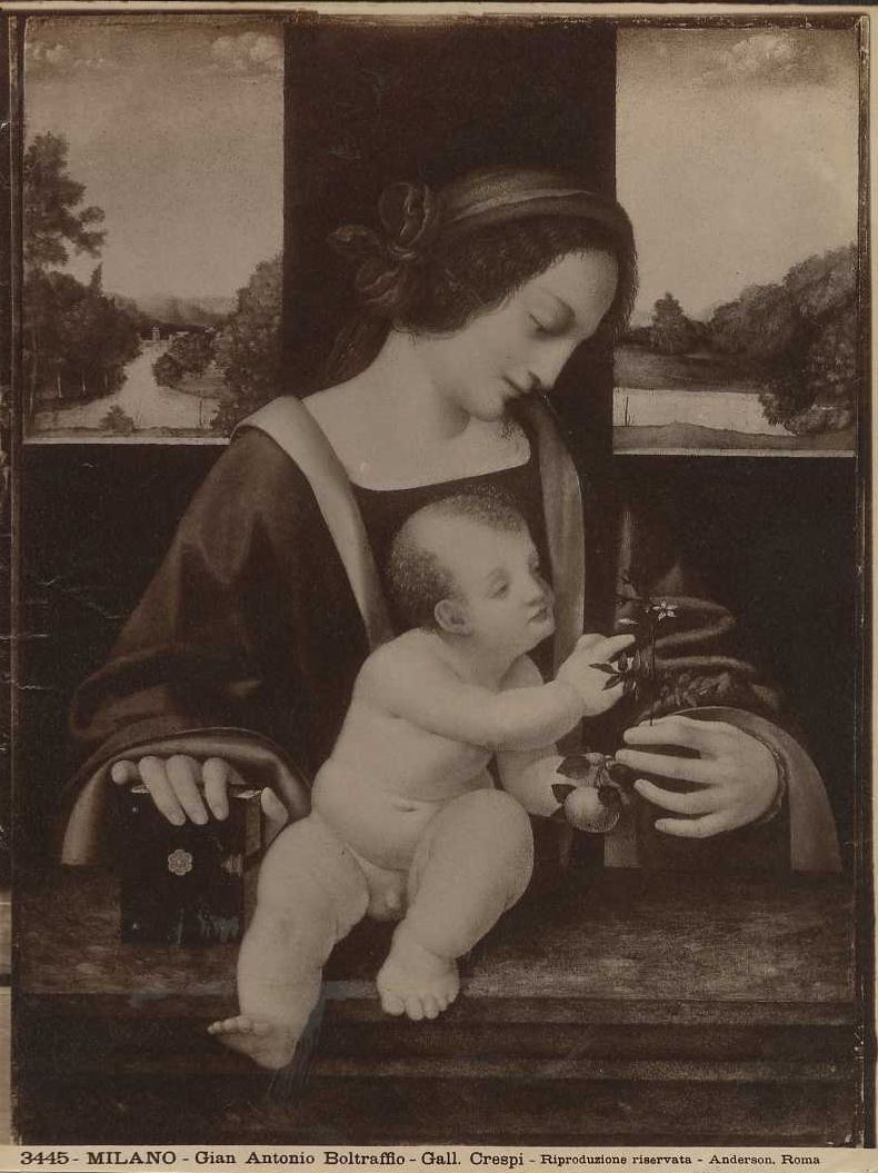 Boltraffio, G.A. (bottega)/ Madonna col Bambino/ Londra/ National Gallery (positivo) di Boltraffio, Giovan Antonio (bottega), Anderson, Domenico (XX)