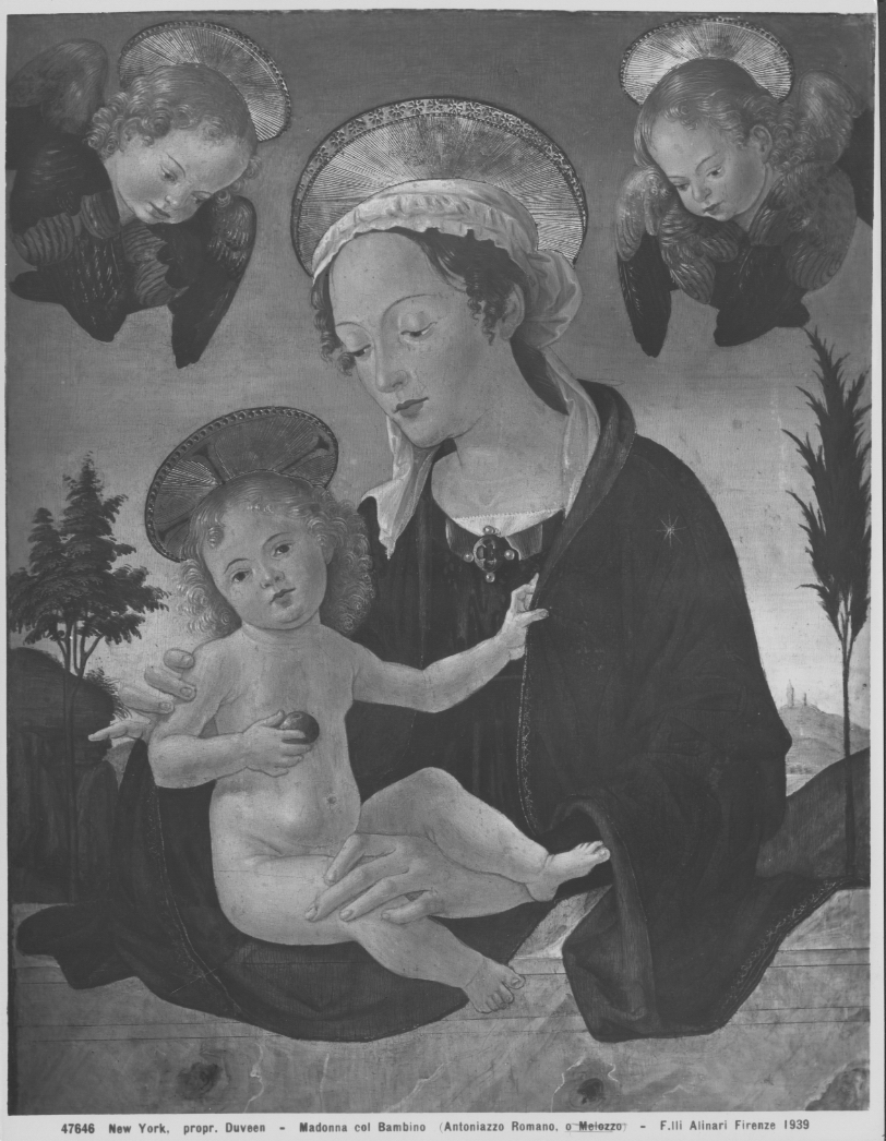 Dipinti - La Madonna col Bambino (positivo) di Antoniazzo Romano, Melozzo da Forlì (attr), F.lli Alinari S.p.A. - Istituto Edizioni Artistiche - Firenze (ditta) (XX)