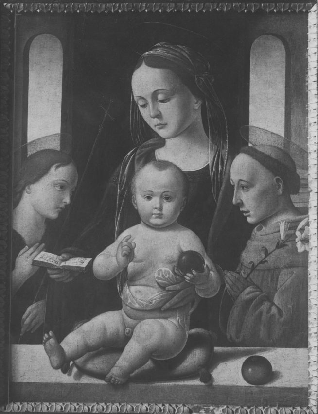 Tucci, B. d'A. (attr.)/ Madonna col Bambinoe due Santi/ Faenza/ Collezione privata (positivo) di Tucci, Biagio d'Antonio (attr), Anonimo (XX)