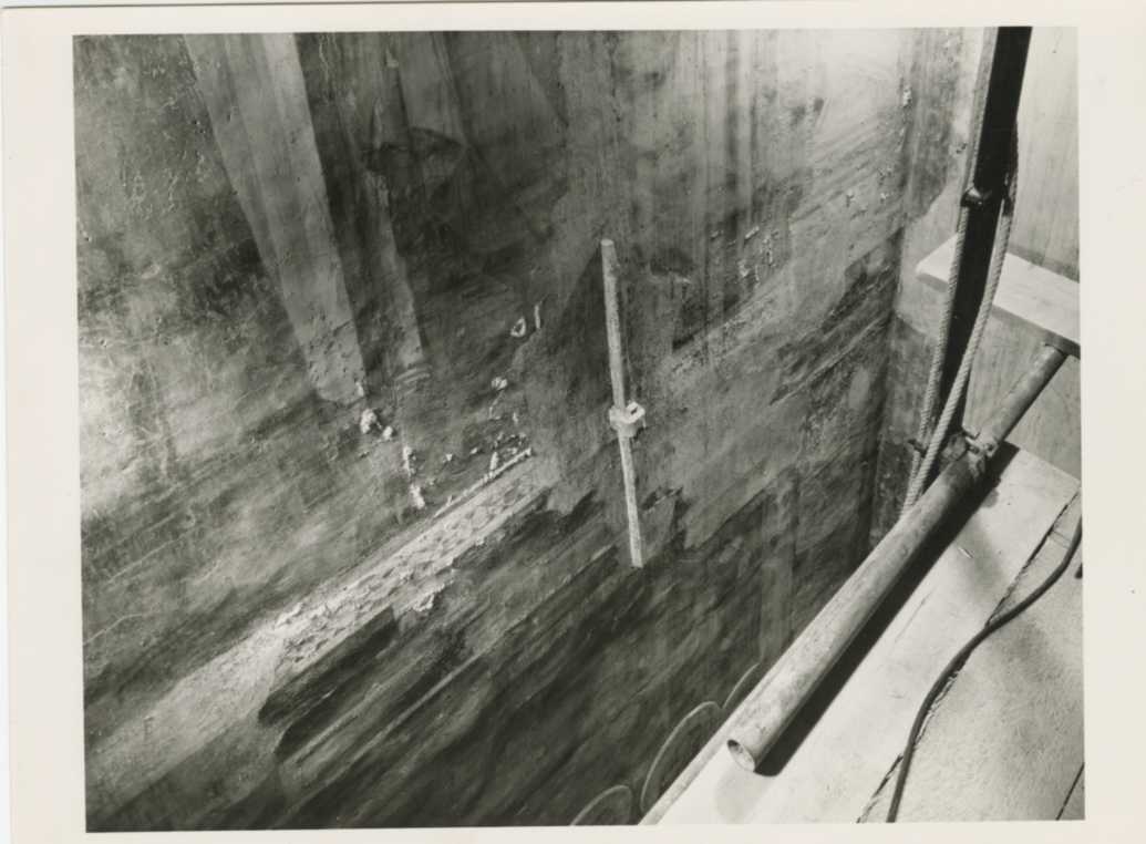 Affreschi (positivo) di Giovanni Francesco da Rimini, Studi Fotofast (XX)