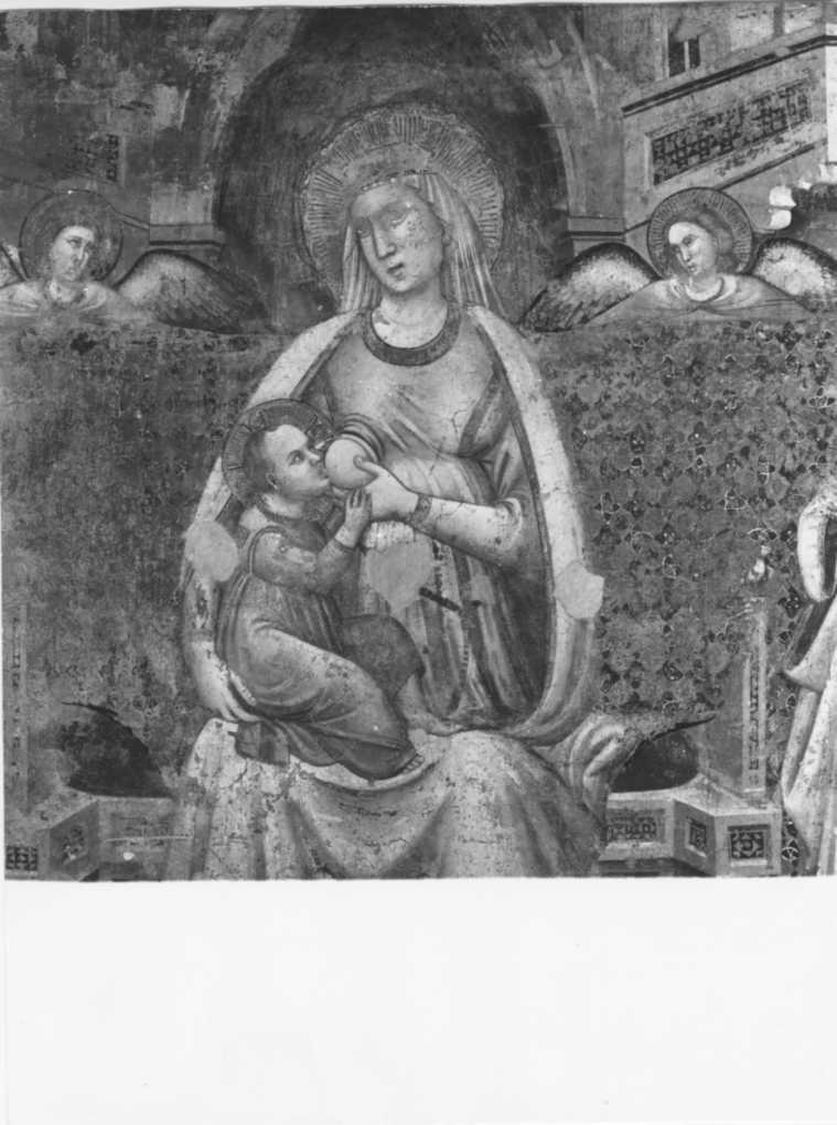 Maestro di S. Emiliano/ Madonna in trono e Santi/ Pinacoteca Civica/ Fabriano/ particolare della Madonna col Bambino (positivo) di Maestro di S. Emiliano, Archivio Fotografico Soprintendenza delle Marche - Urbino (XX)