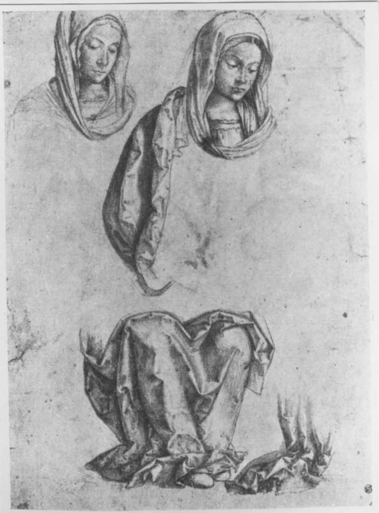 Disegni - Studi per una Madonna (positivo) di Zaganelli, Francesco, Anonimo (XIX/ XX)