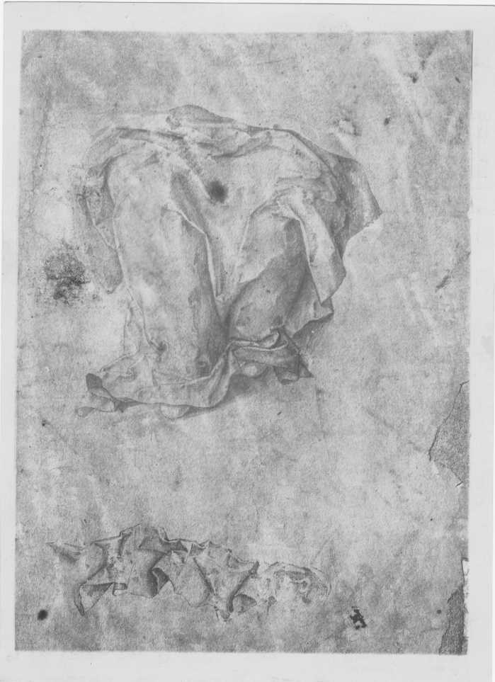 Zaganelli, Francesco/ Studi per una Madonna/ National Museum/ Stoccolma (negativo) di Zaganelli, Francesco, Anonimo (XIX/ XX)