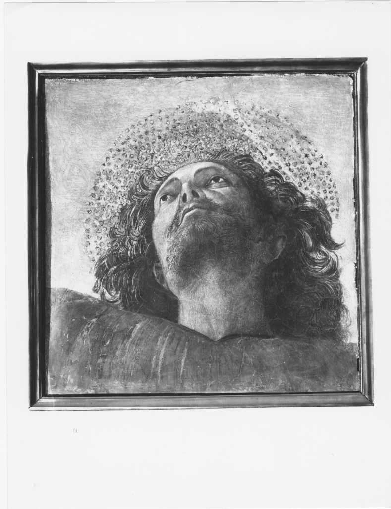 Dipinti - Testa di Apostolo (positivo) di Melozzo degli Ambrosi detto Melozzo da Forlì, Alinari, I.D.E.A (XX)