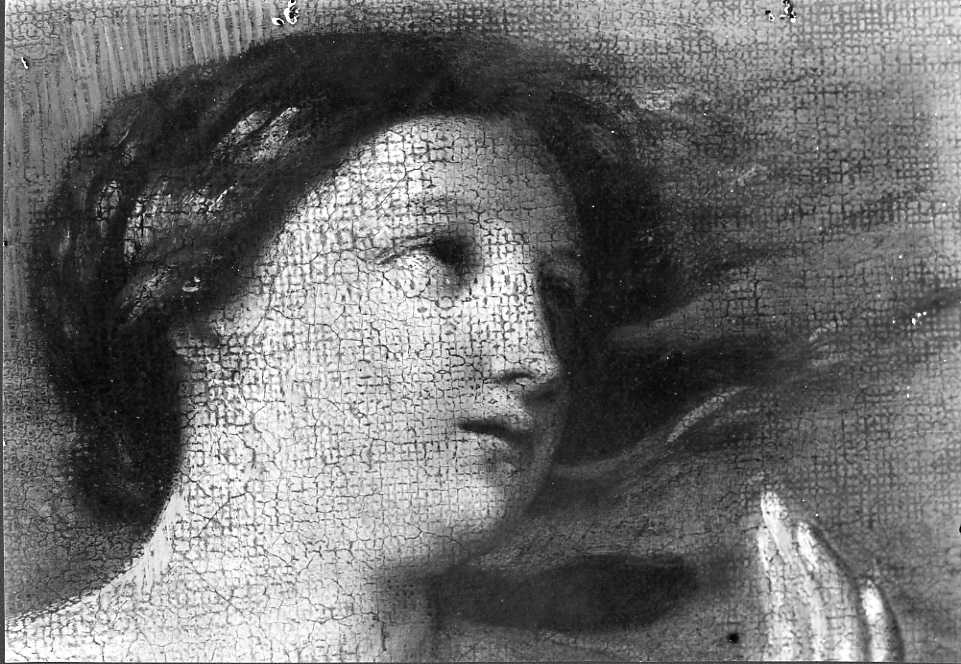 Dipinti - Testa femminile (positivo) di Corradini, Juan - scuola reniana (XX)