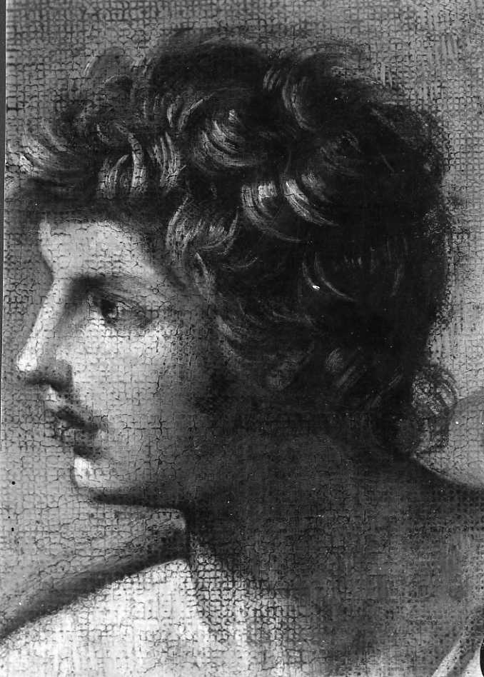 Dipinti - Testa di Bacco (positivo) di Corradini, Juan - scuola reniana (XX)