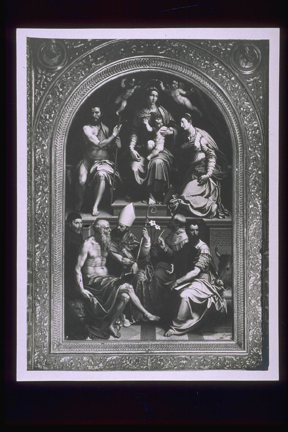 Bologna-Chiese-Dipinti (positivo) di Sicciolante, Girolamo da Sermoneta, Ditta Bolognesi Orsini (XIX/ XX)