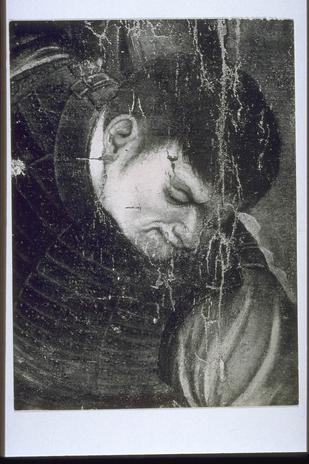 Bologna-Chiese-Dipinti (positivo) di Ercole dè Roberti, Anonimo (XIX/ XX)