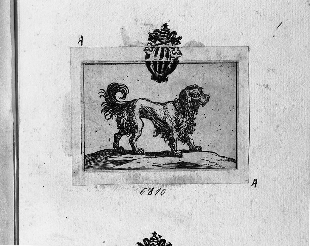 Cane volto a destra, cane (stampa smarginata) di Tempesta Antonio (secc. XVI/ XVII)