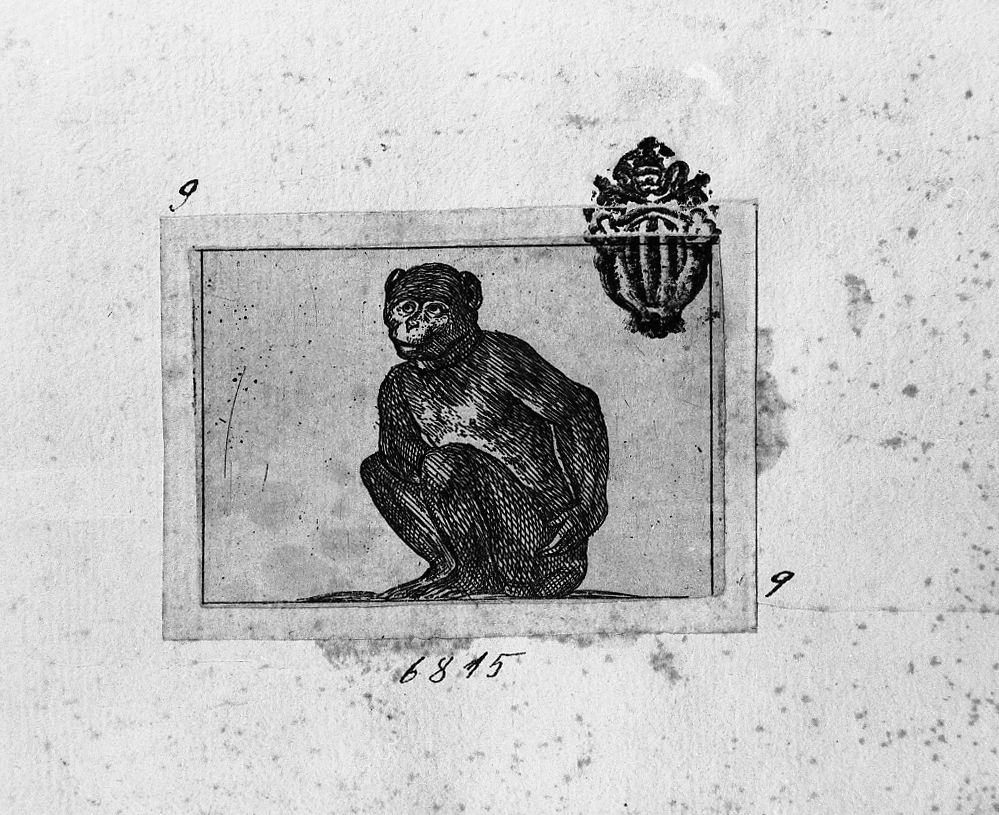 Scimmia seduta, animali (stampa smarginata) di Tempesta Antonio (secc. XVI/ XVII)