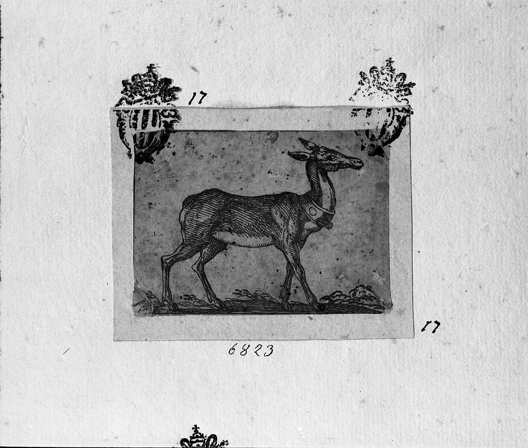 Daino (?) volto a destra, animali (stampa tagliata) di Tempesta Antonio (secc. XVI/ XVII)