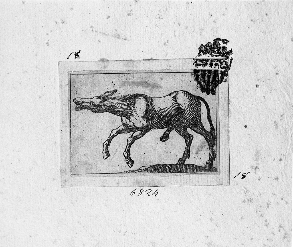 Asino volto a sinistra, animali (stampa smarginata) di Tempesta Antonio (secc. XVI/ XVII)