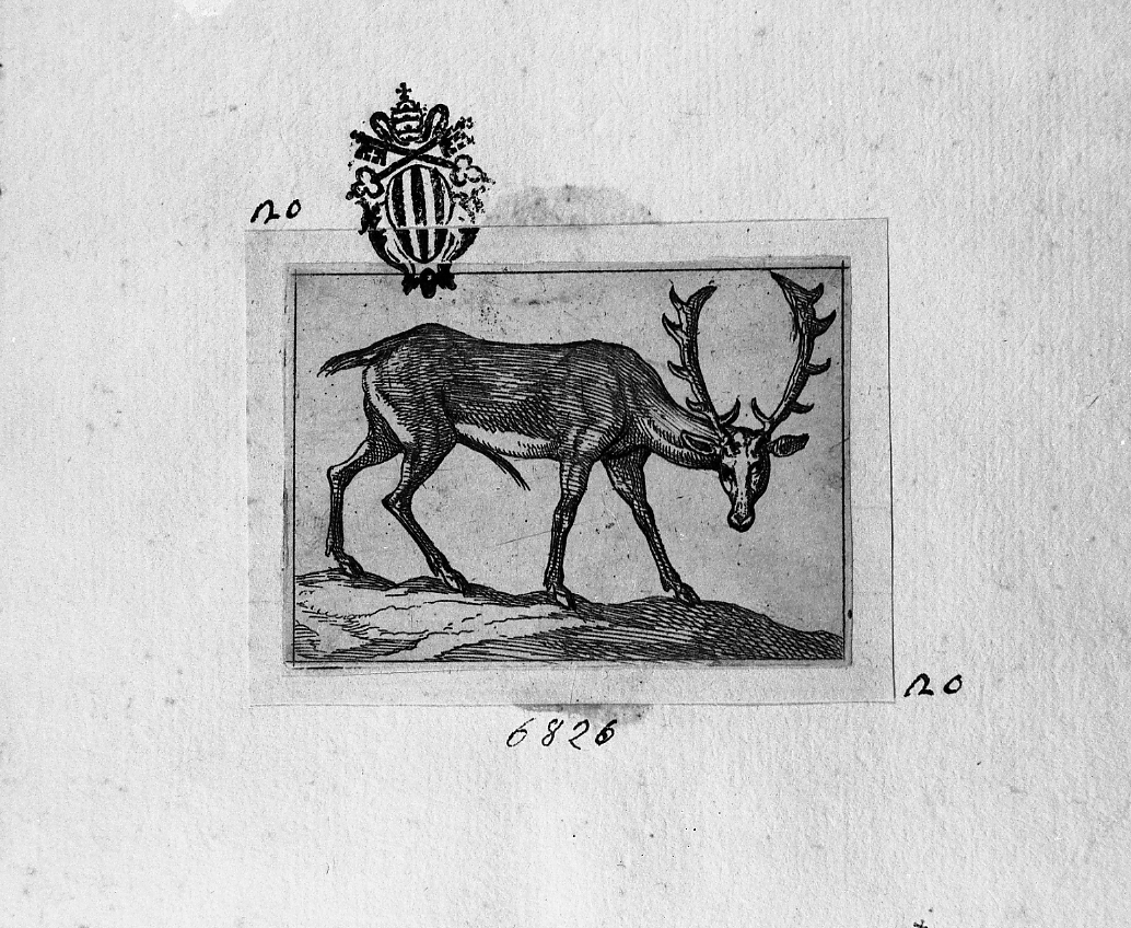 Cervo (?) volto destra, animali (stampa smarginata) di Tempesta Antonio (secc. XVI/ XVII)