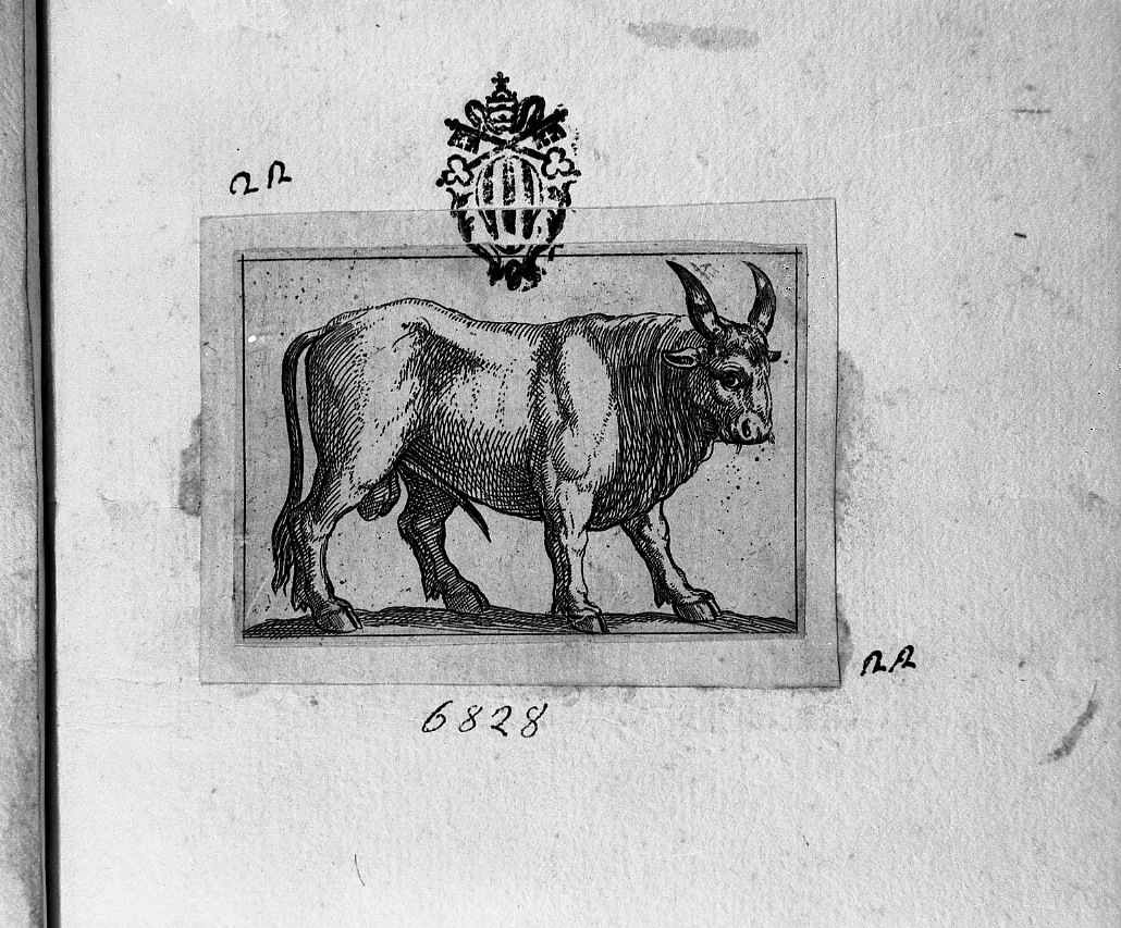 Toro volto a destra, animali (stampa smarginata) di Tempesta Antonio (secc. XVI/ XVII)