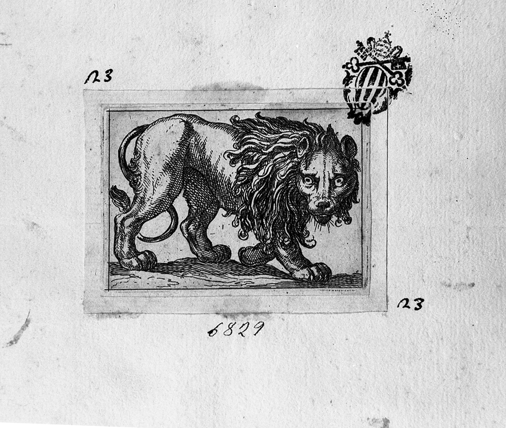 Leone volto a destra, animali (stampa tagliata) di Tempesta Antonio (secc. XVI/ XVII)