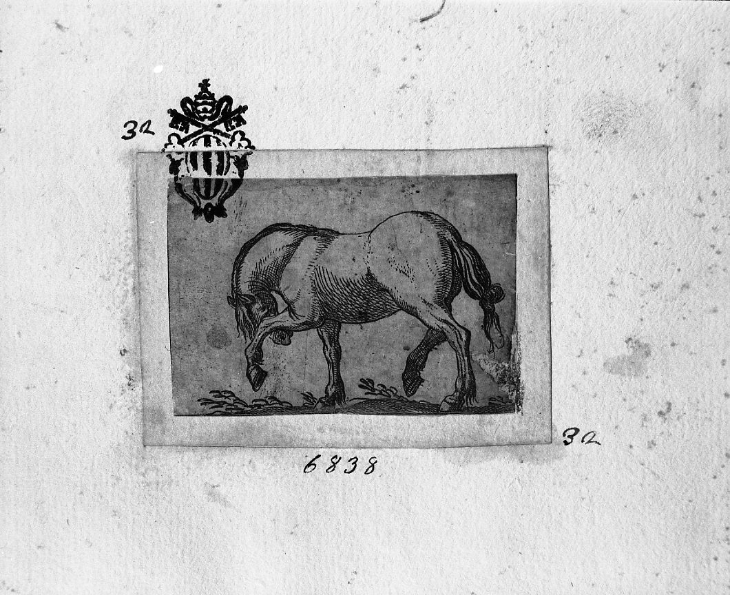 Cavallo volto a sinistra che batte lo zoccolo, animali (stampa smarginata) di Tempesta Antonio (secc. XVI/ XVII)