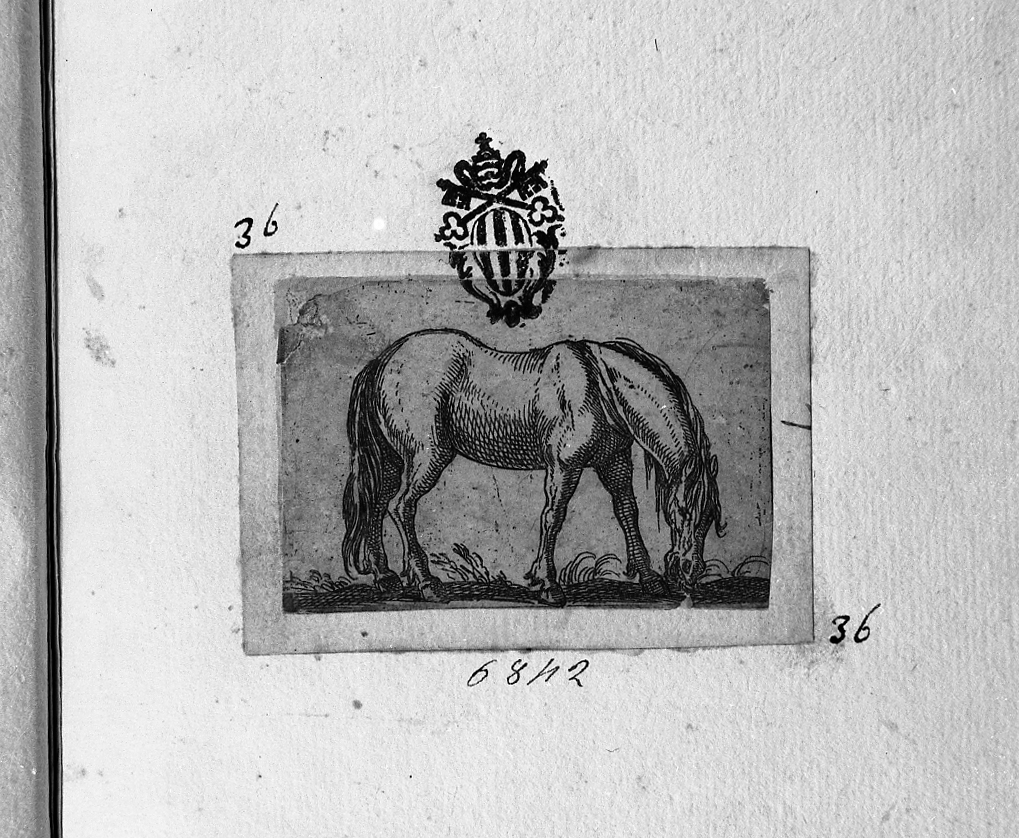 Cavallo volto a destra che bruca, animali (stampa smarginata) di Tempesta Antonio (secc. XVI/ XVII)