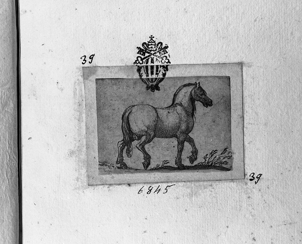 Cavallo al passo verso destra, animali (stampa smarginata) di Tempesta Antonio (secc. XVI/ XVII)