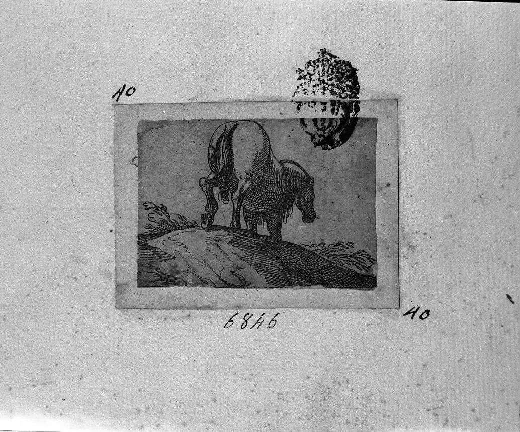 Cavallo al passo verso il fondo, animali (stampa smarginata) di Tempesta Antonio (secc. XVI/ XVII)
