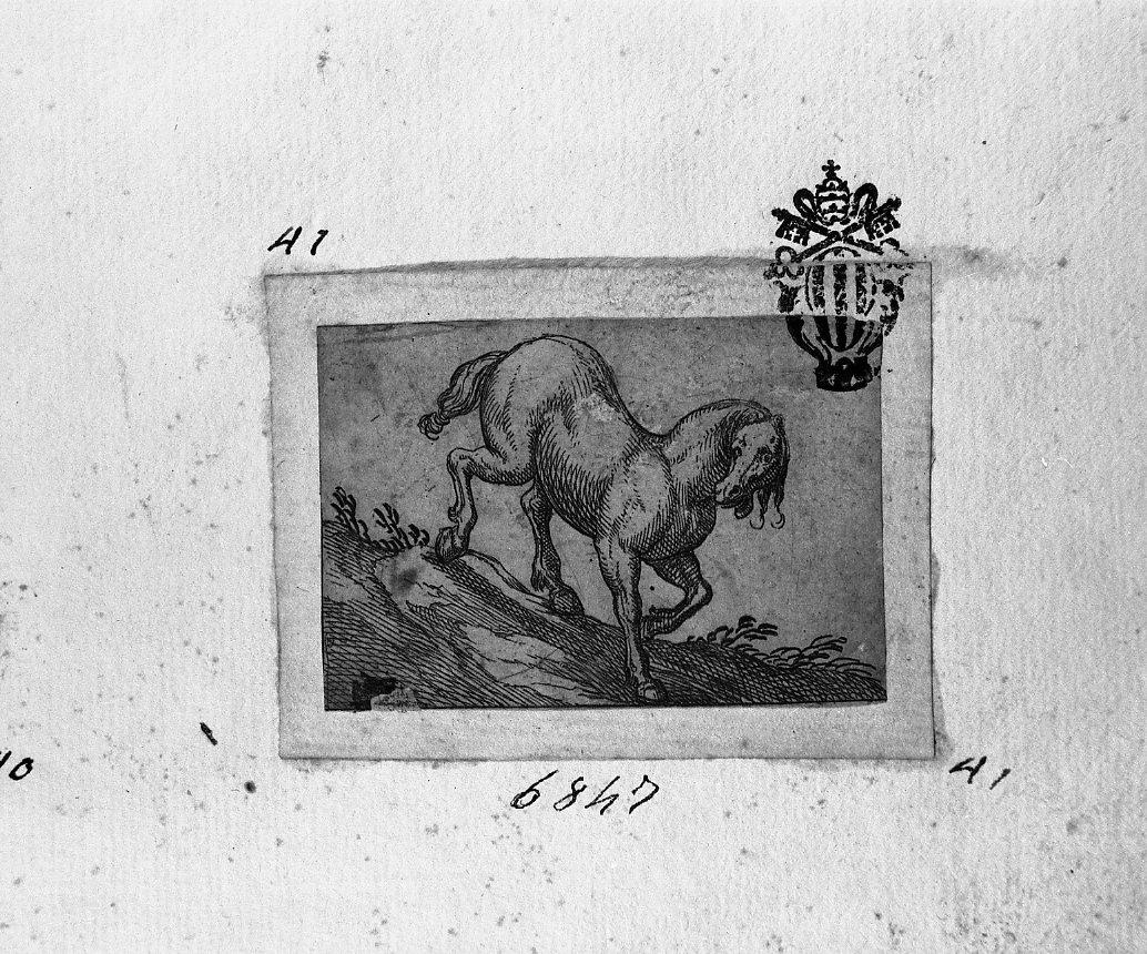 Cavallo al passo verso destra, animali (stampa smarginata) di Tempesta Antonio (secc. XVI/ XVII)