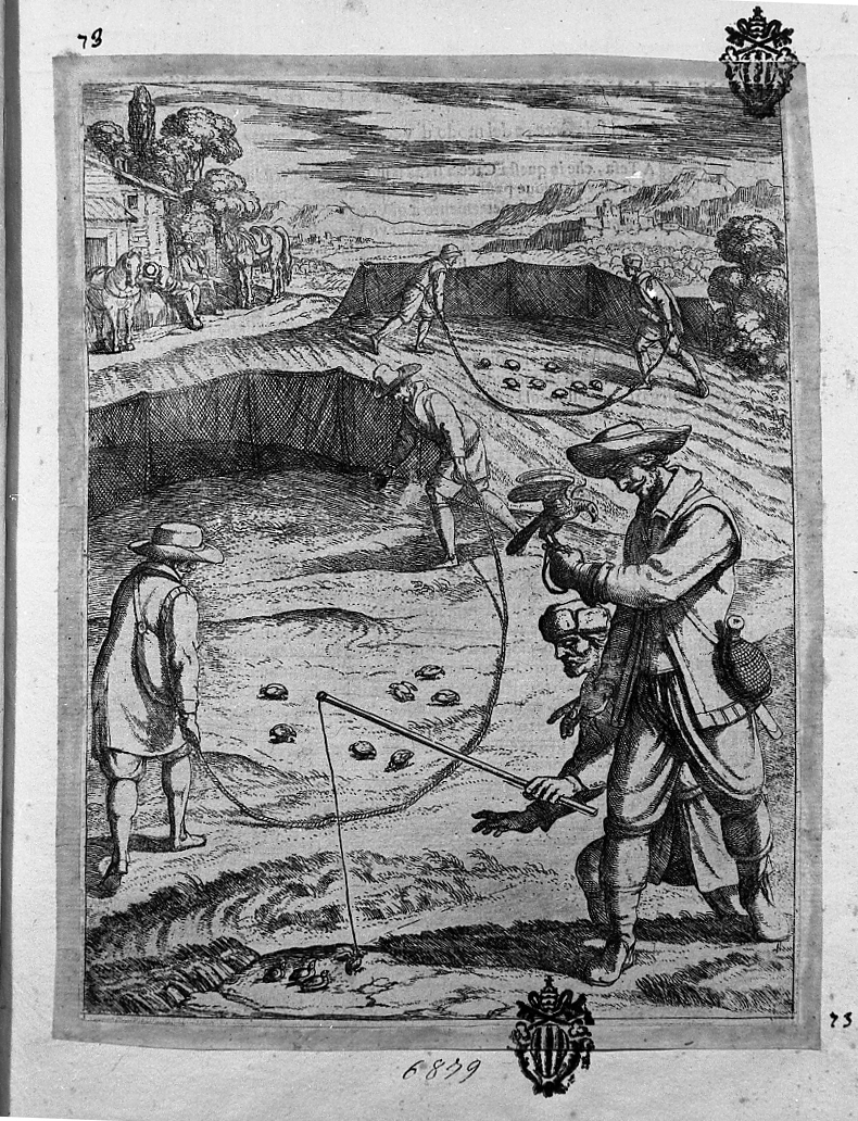 Caccia agli uccelli con la rete, la corda, ecc, caccia (stampa smarginata) di Tempesta Antonio (attribuito) (secc. XVI/ XVII)