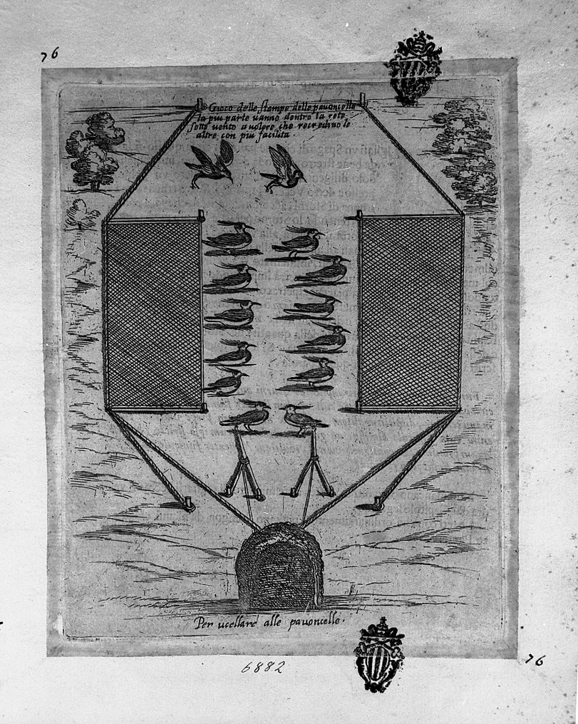 Caccia alle pavoncelle con la rete, caccia (stampa smarginata) di Tempesta Antonio (attribuito) (secc. XVI/ XVII)