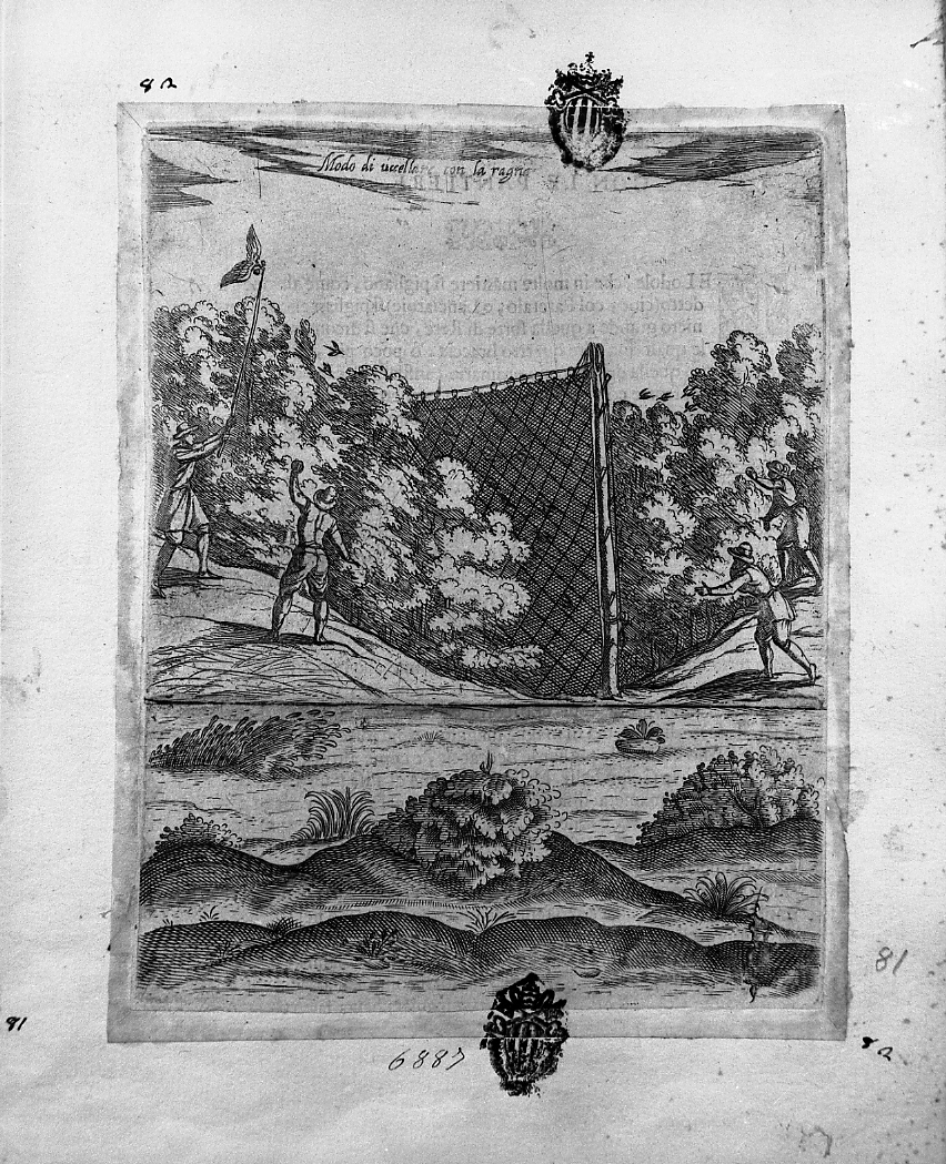Caccia agli uccelli con richiamo e rete, caccia (stampa smarginata) di Tempesta Antonio (attribuito) (secc. XVI/ XVII)