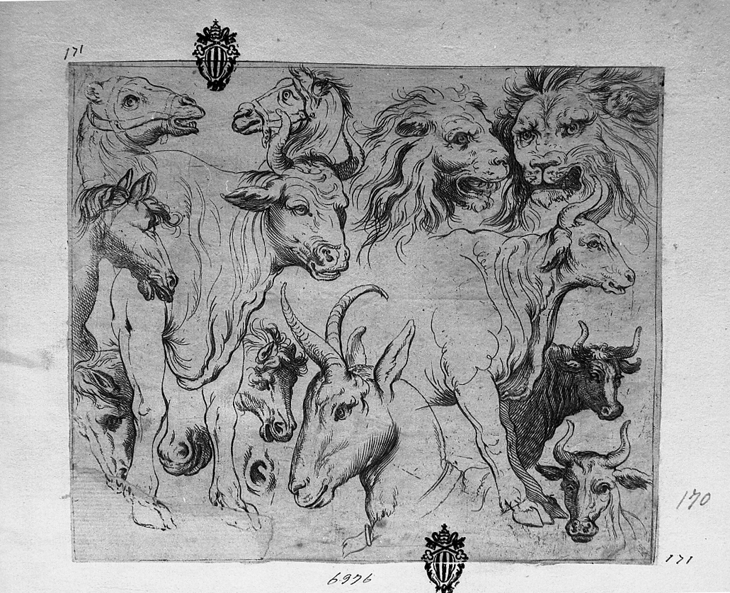 Diverse teste di animali, animali (stampa smarginata) di Tempesta Antonio (attribuito) (secc. XVI/ XVII)