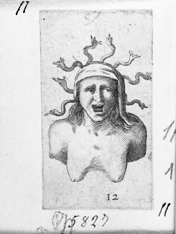 Medusa, figure (stampa tagliata) di Hollar Wenzel (attribuito) (sec. XVII)