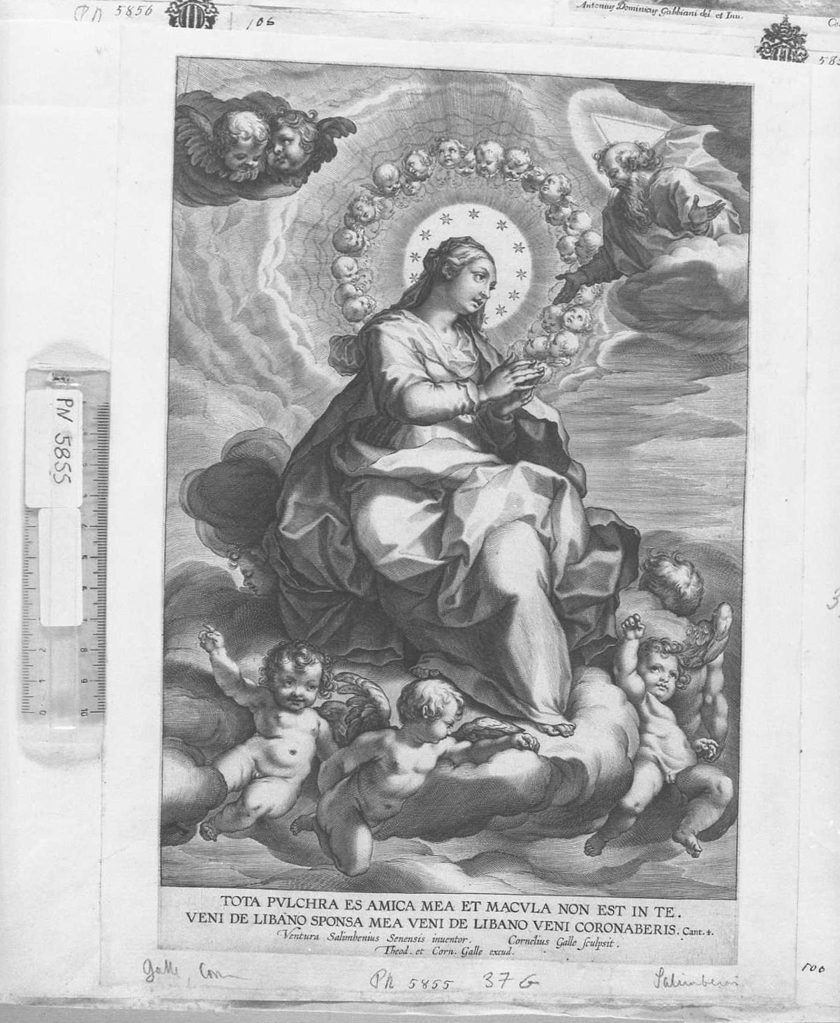 La Vergine Immacolata col Padre Eterno, Vergine immacolata (stampa tagliata) di Galle Philipp (secc. XVI/ XVII)
