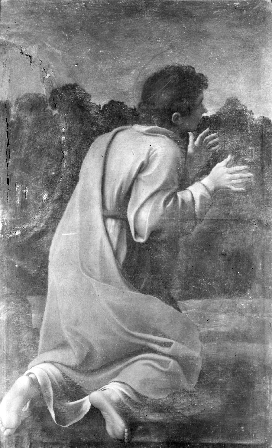 San Giovanni (dipinto) - scuola bolognese (sec. XVII)