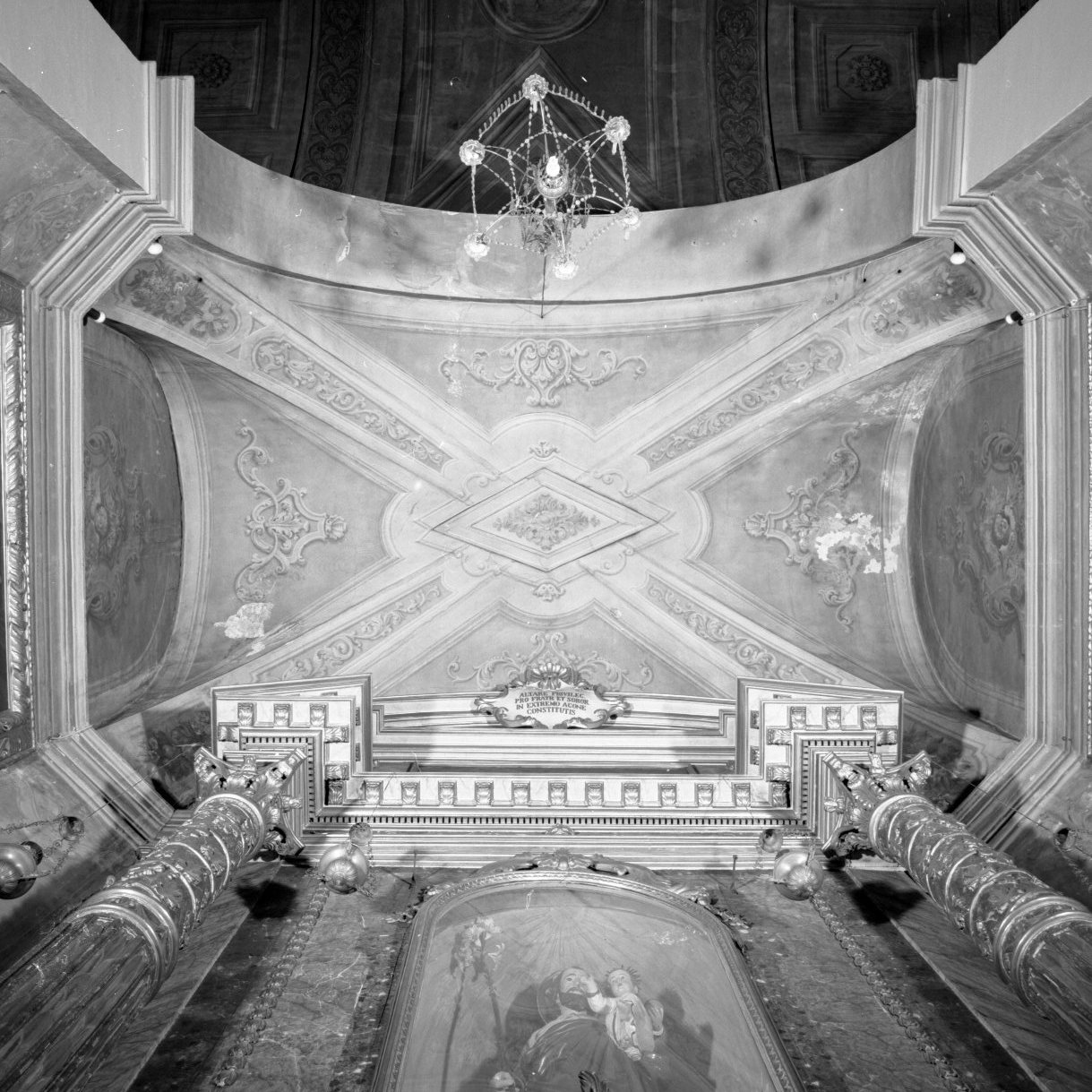 motivi decorativi a girali vegetali (dipinto murale, insieme) di Scala Francesco (sec. XVII)