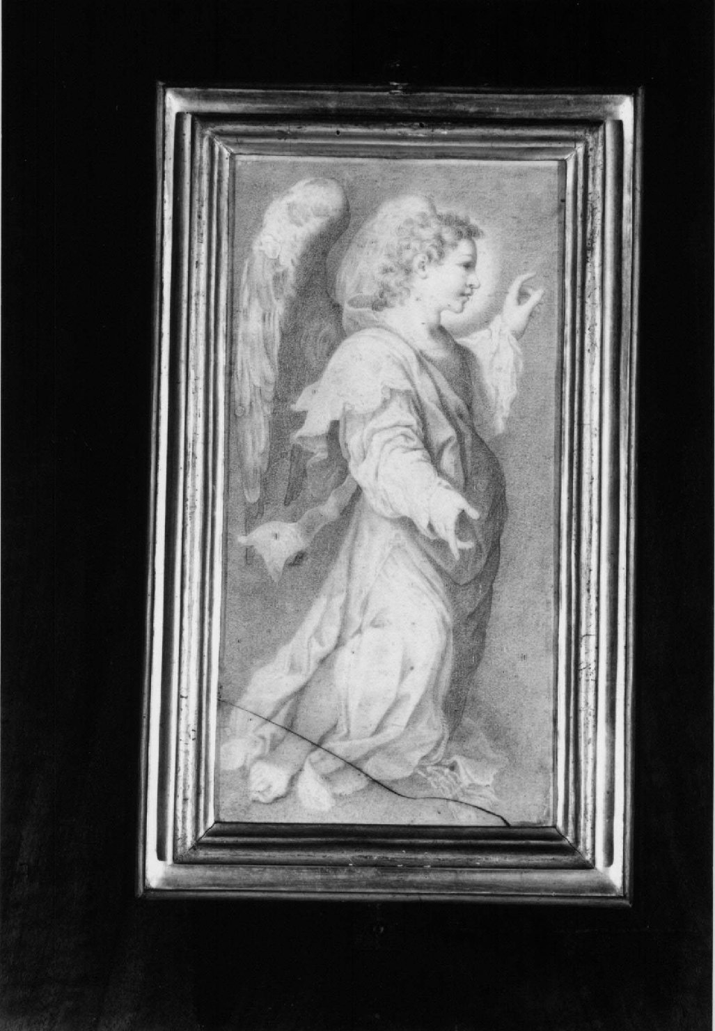 angelo annunciante (disegno) di Carracci Annibale (sec. XVI)