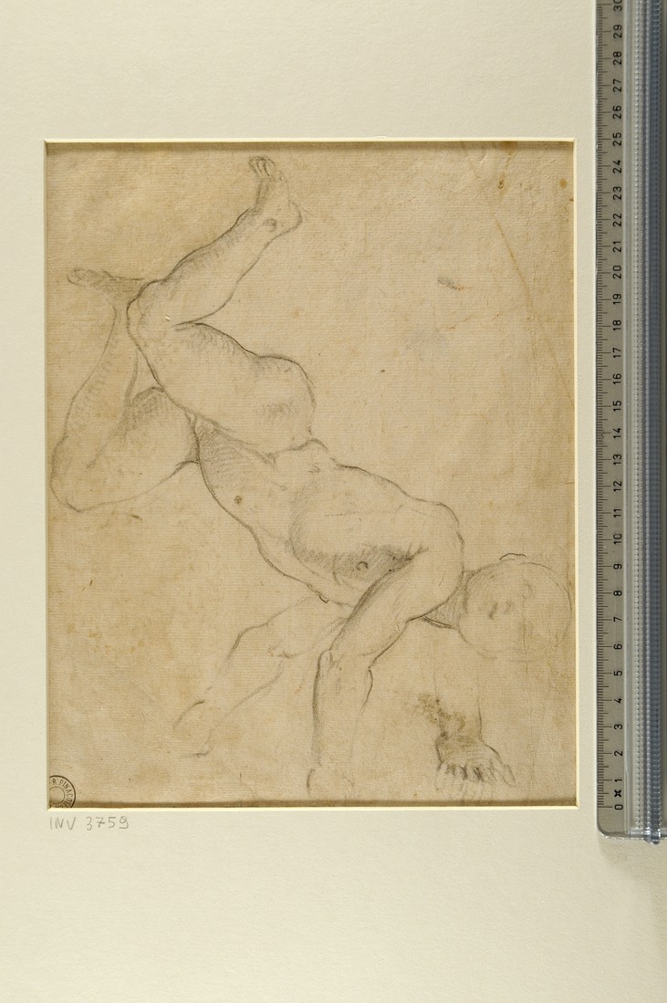 figura maschile ignuda precipite/ studio di mano (disegno) di Commodi Andrea (sec. XVII)