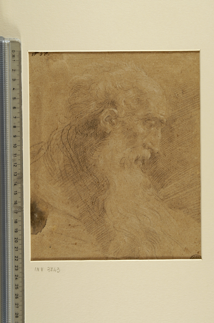 testa d'uomo di profilo (disegno) di Creti Donato (prima metà sec. XVIII)