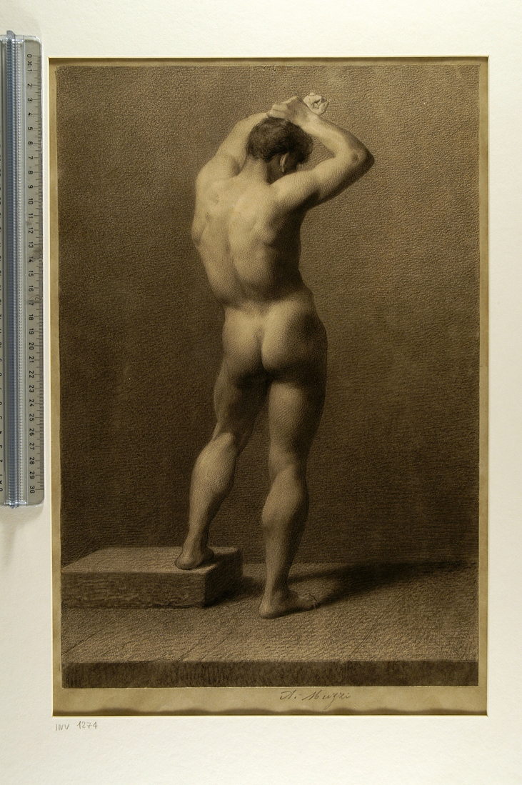 nudo accademico in piedi, visto da tergo, con le braccia alzate (disegno) di Muzzi Antonio (sec. XIX)