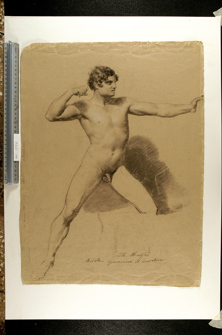 studio accademico di giovane in atto di tirare con l'arco (disegno) di Muzzi Antonio (sec. XIX)