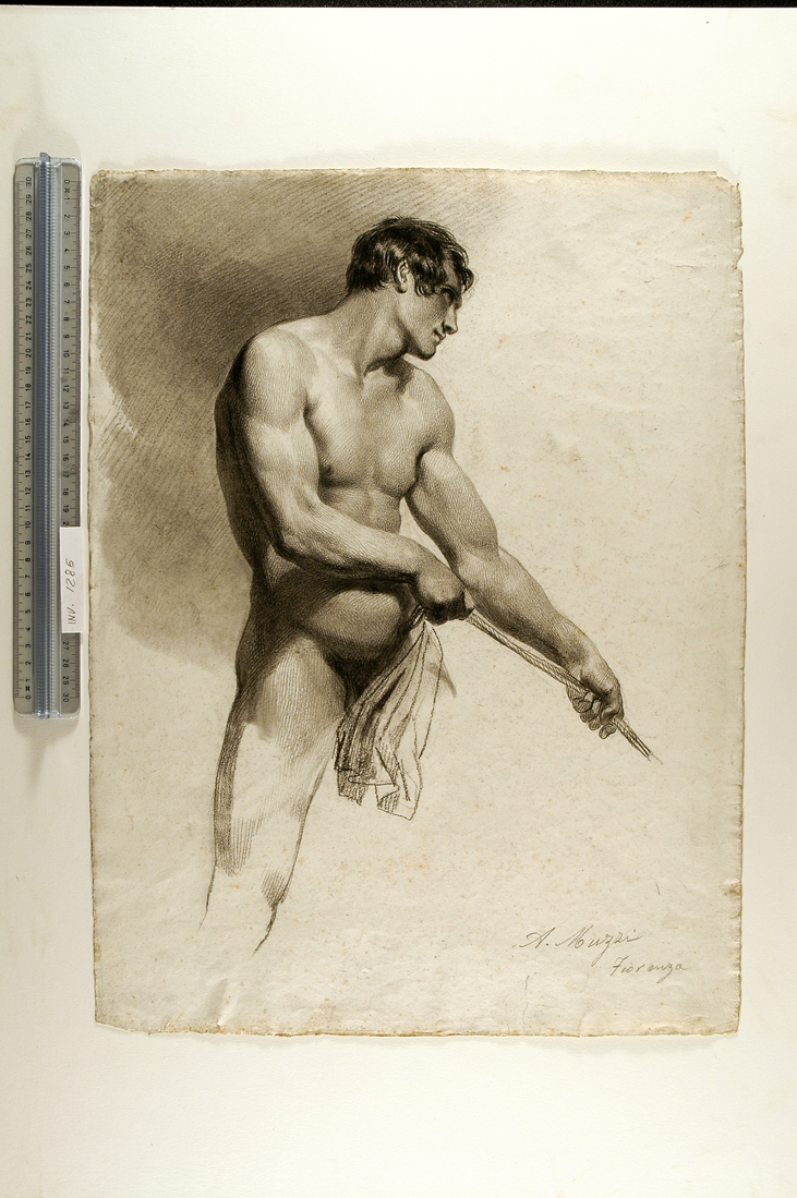 studio accademico di figura maschile in atto di tirare una corda (disegno) di Muzzi Antonio (sec. XIX)