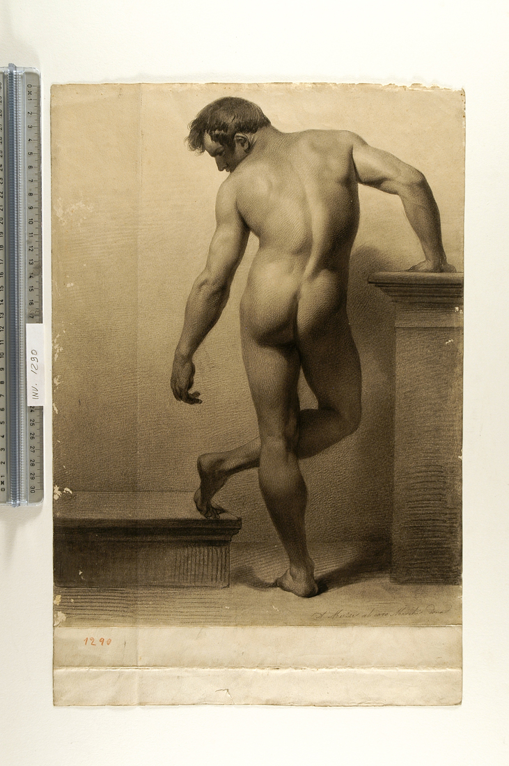 studio accademico di nudo maschile visto da tergo (disegno) di Muzzi Antonio (sec. XIX)