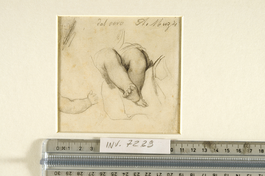 studio di arti di bambini (disegno) di Muzzi Antonio (sec. XIX)