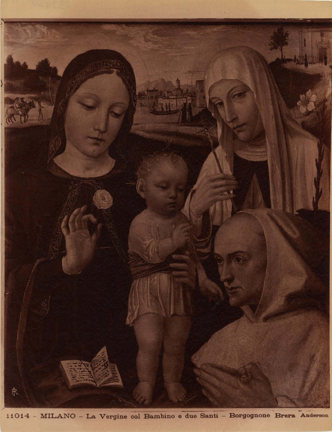 Madonna con Bambino e santi - Dipinti (positivo) di Bergognone, Ambrogio, Anderson, Domenico (ditta) (XIX/ XX)