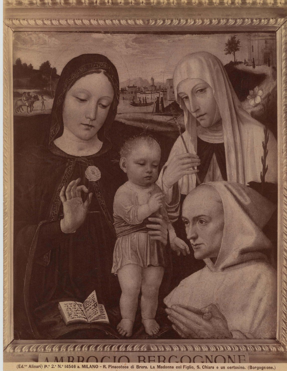 Madonna con Bambino e santi - Dipinti (positivo) di Bergognone, Ambrogio, Fratelli Alinari (ditta) (XIX/ XX)