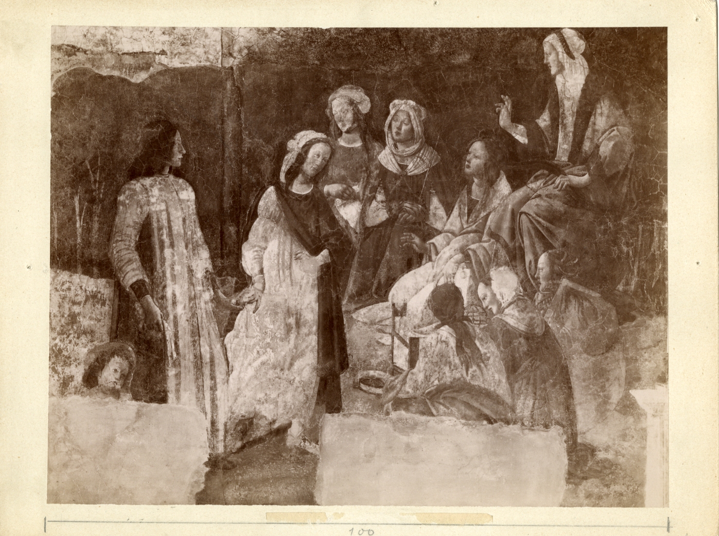 Giovane uomo presentato a Venere - Affreschi (positivo) di Botticelli, Sandro, Anonimo (XIX/ XX)