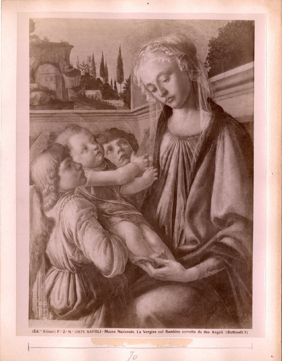Madonna con Bambino e angeli - Dipinti (positivo) di Botticelli, Sandro, Fratelli Alinari (ditta) (XIX/ XX)