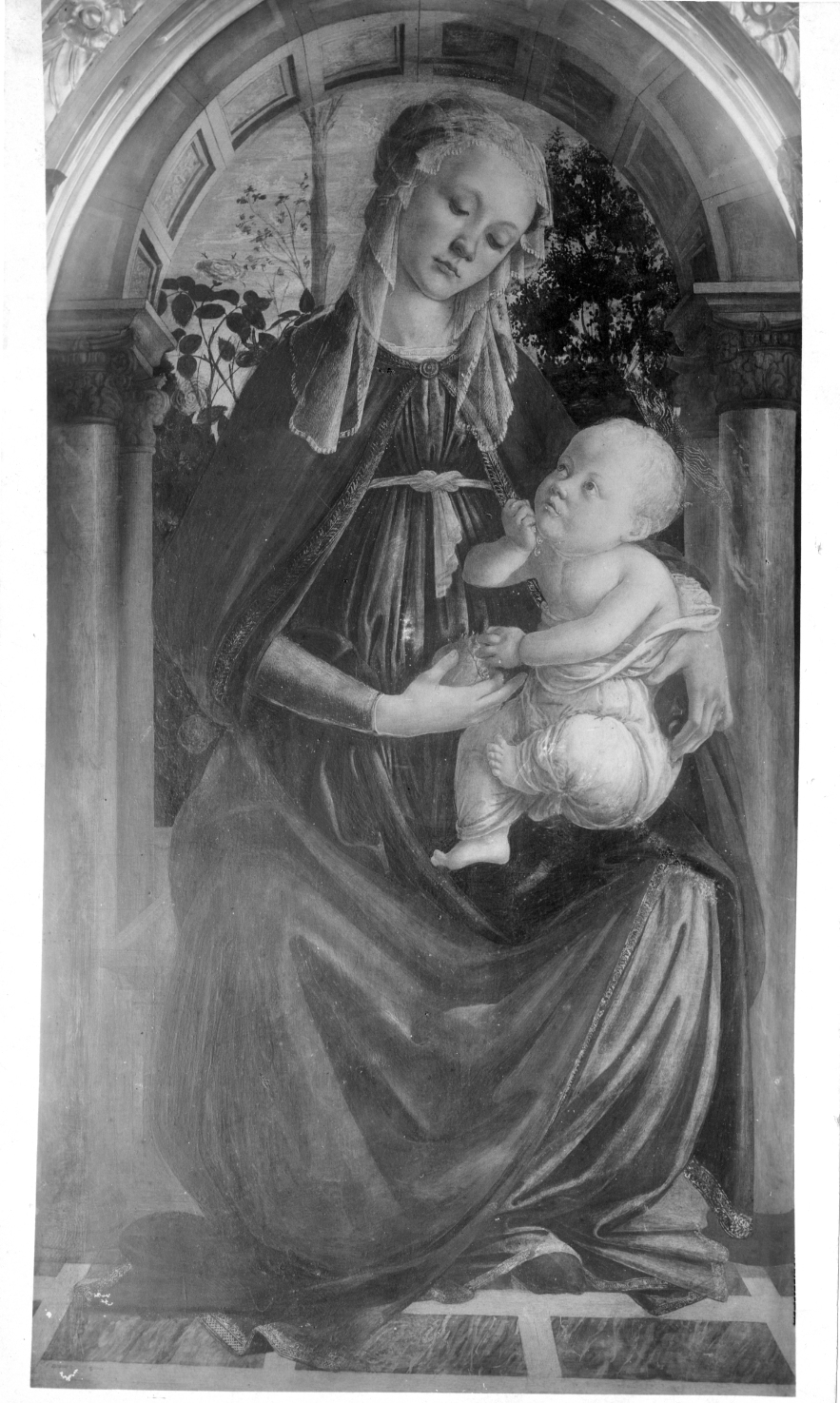 Madonna con Bambino - Dipinti (positivo) di Botticelli, Sandro, Anonimo (XX)